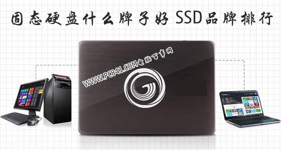 固態(tài)硬盤什么牌子好 SSD品牌排行