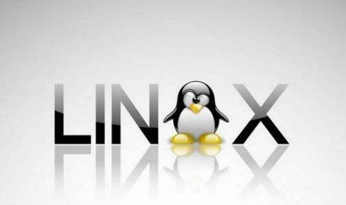 Linux是什么？它是哪個(gè)國(guó)家開發(fā)的