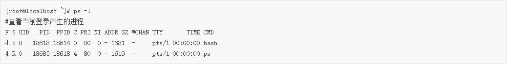 Linux新手入门：PS命令查看正在运行的进程