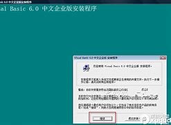 vb6.0中文完整版官方下载