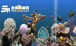 3d熱帶魚水族箱屏保